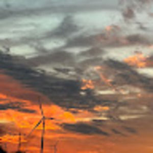 Meet your Posher, Hallie